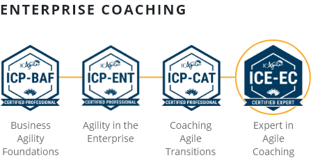 Enterprise Coaching